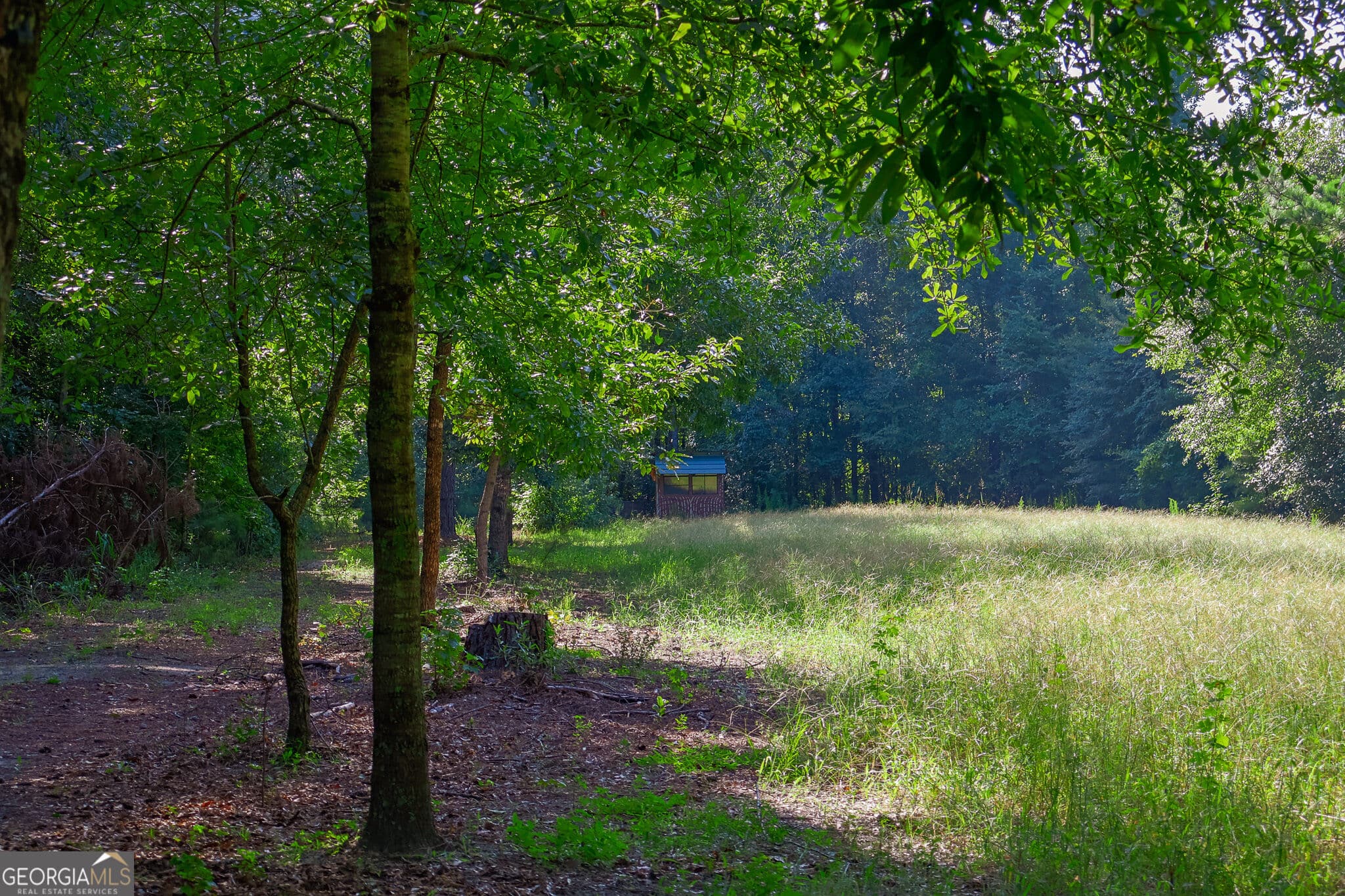 3 bedroom, 1 bathroom, 1,428 sq ft single family residence for sale at 1362 Doyle Road, Sardis, GA 30456 — photo 4