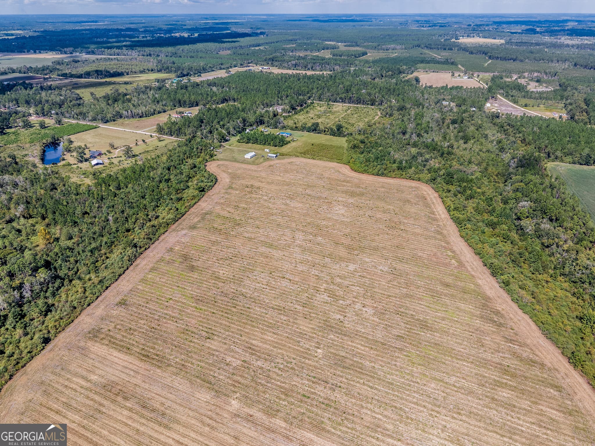 agriculture for sale at 0 Tanner Road, Alma, GA 31510 — photo 6