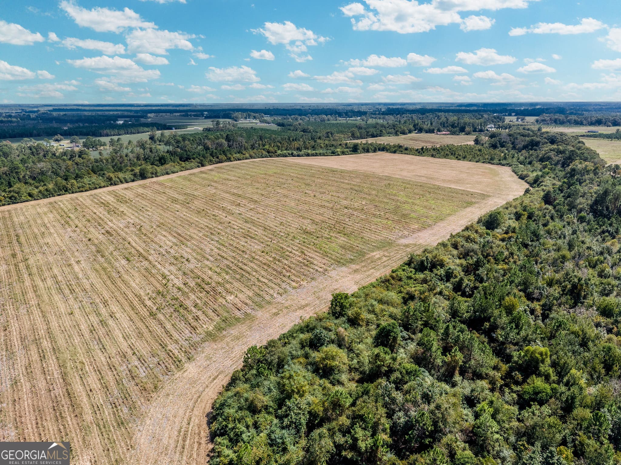 agriculture for sale at 0 Tanner Road, Alma, GA 31510 — photo 7