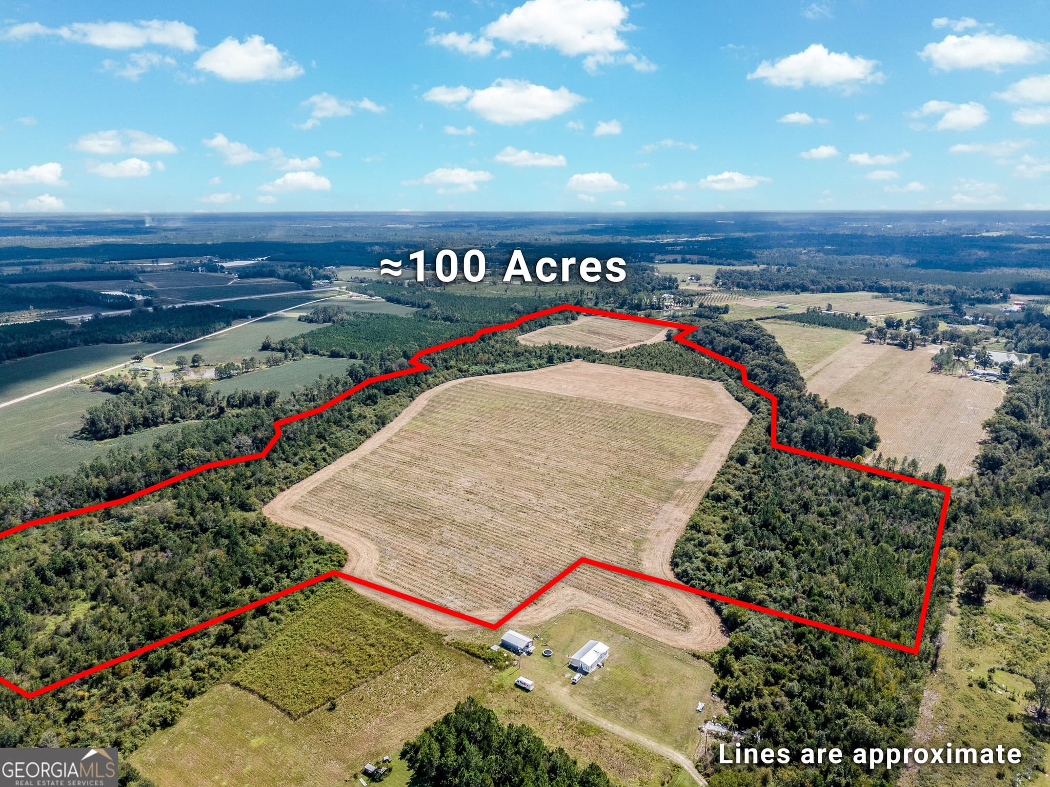 agriculture for sale at 0 Tanner Road, Alma, GA 31510 — photo 3