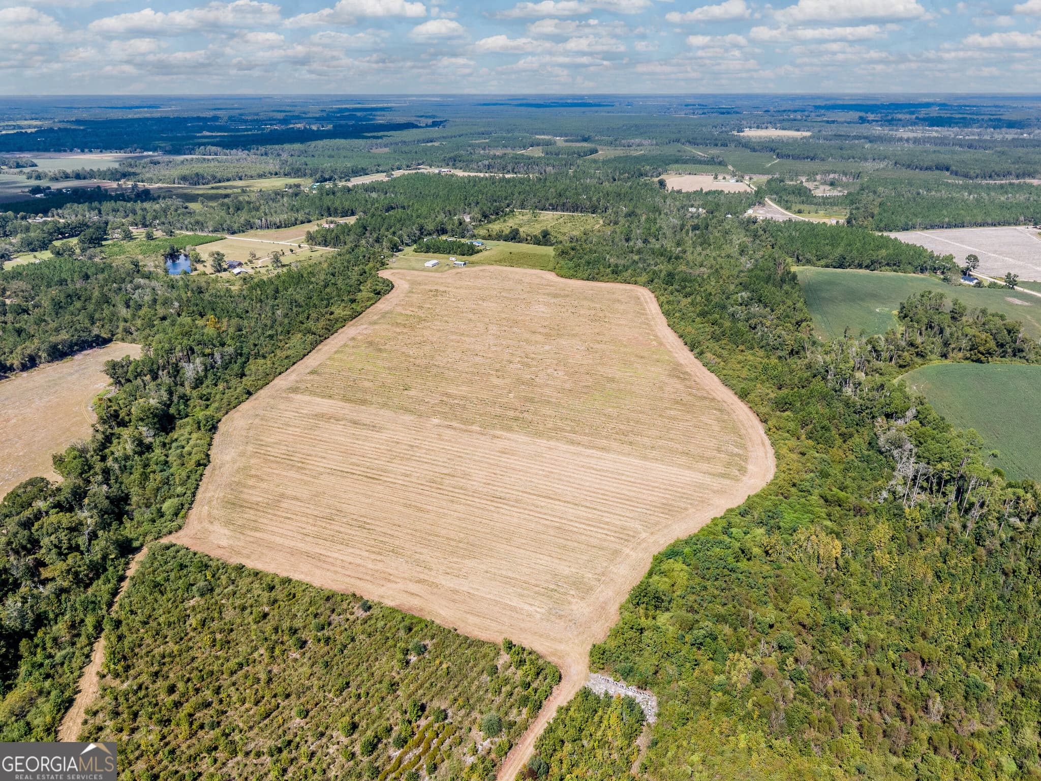agriculture for sale at 0 Tanner Road, Alma, GA 31510 — photo 5