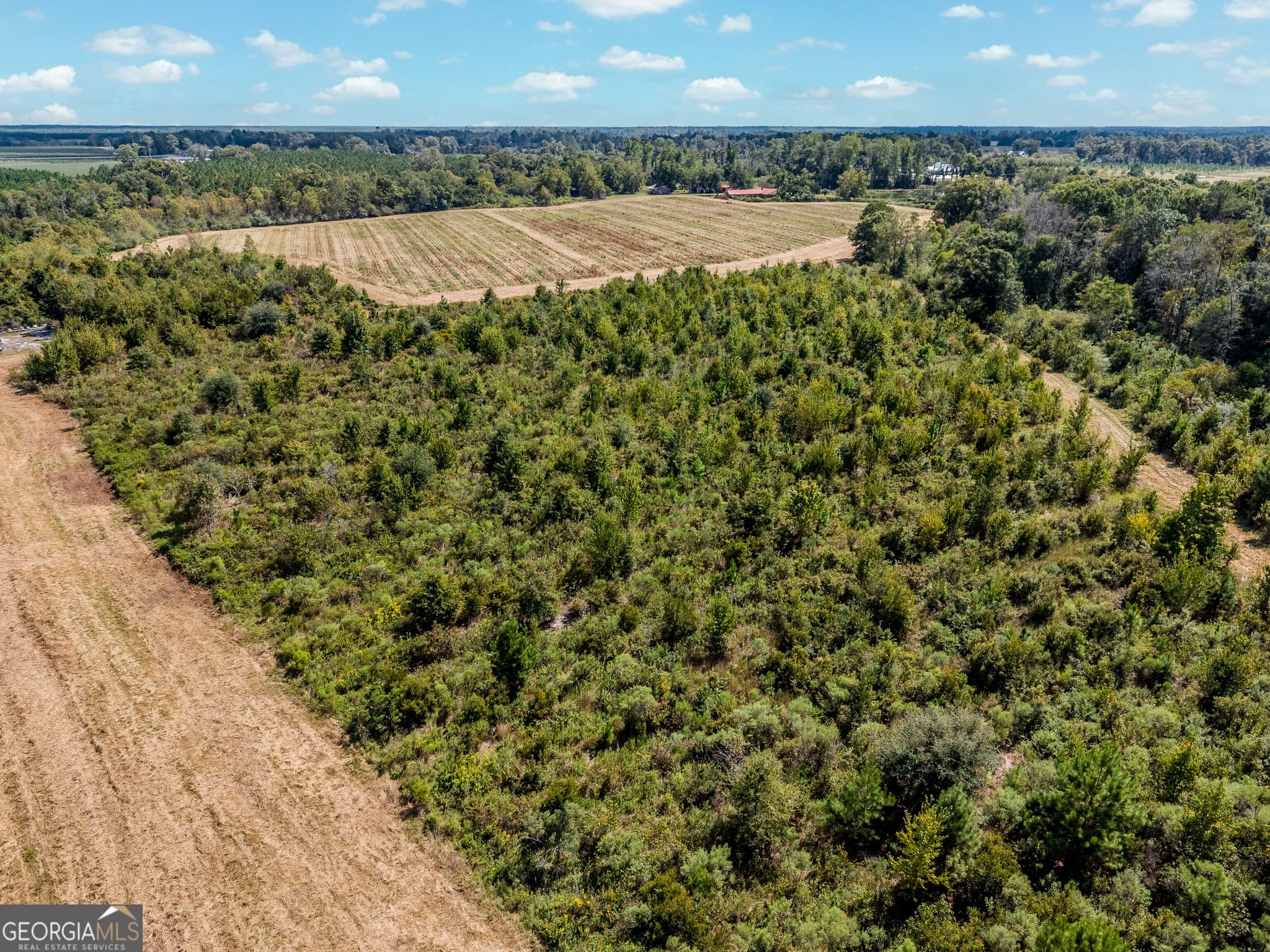 agriculture for sale at 0 Tanner Road, Alma, GA 31510 — photo 9