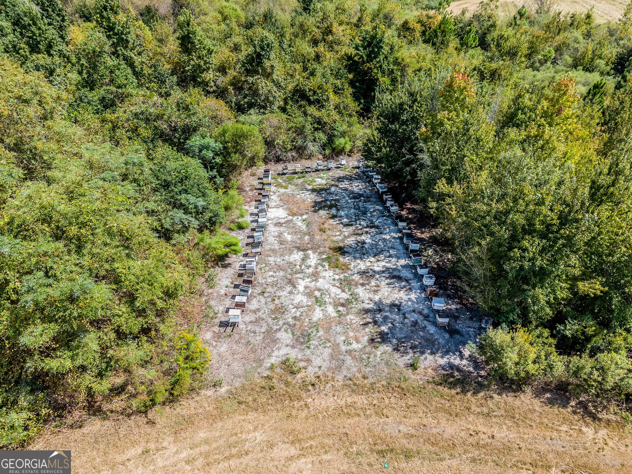 agriculture for sale at 0 Tanner Road, Alma, GA 31510 — photo 10