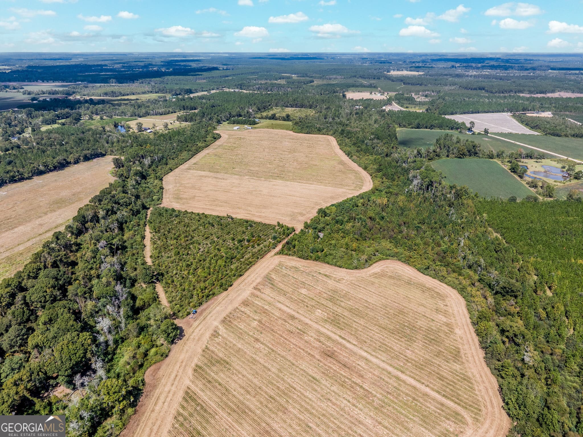 agriculture for sale at 0 Tanner Road, Alma, GA 31510 — photo 4