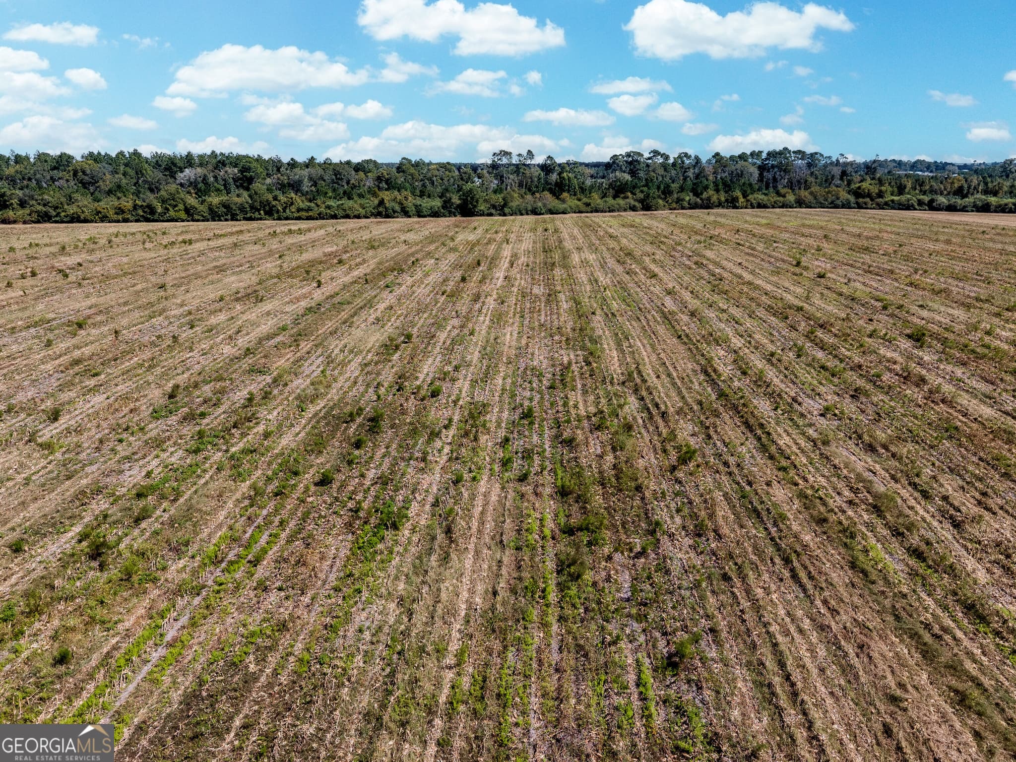 agriculture for sale at 0 Tanner Road, Alma, GA 31510 — photo 8