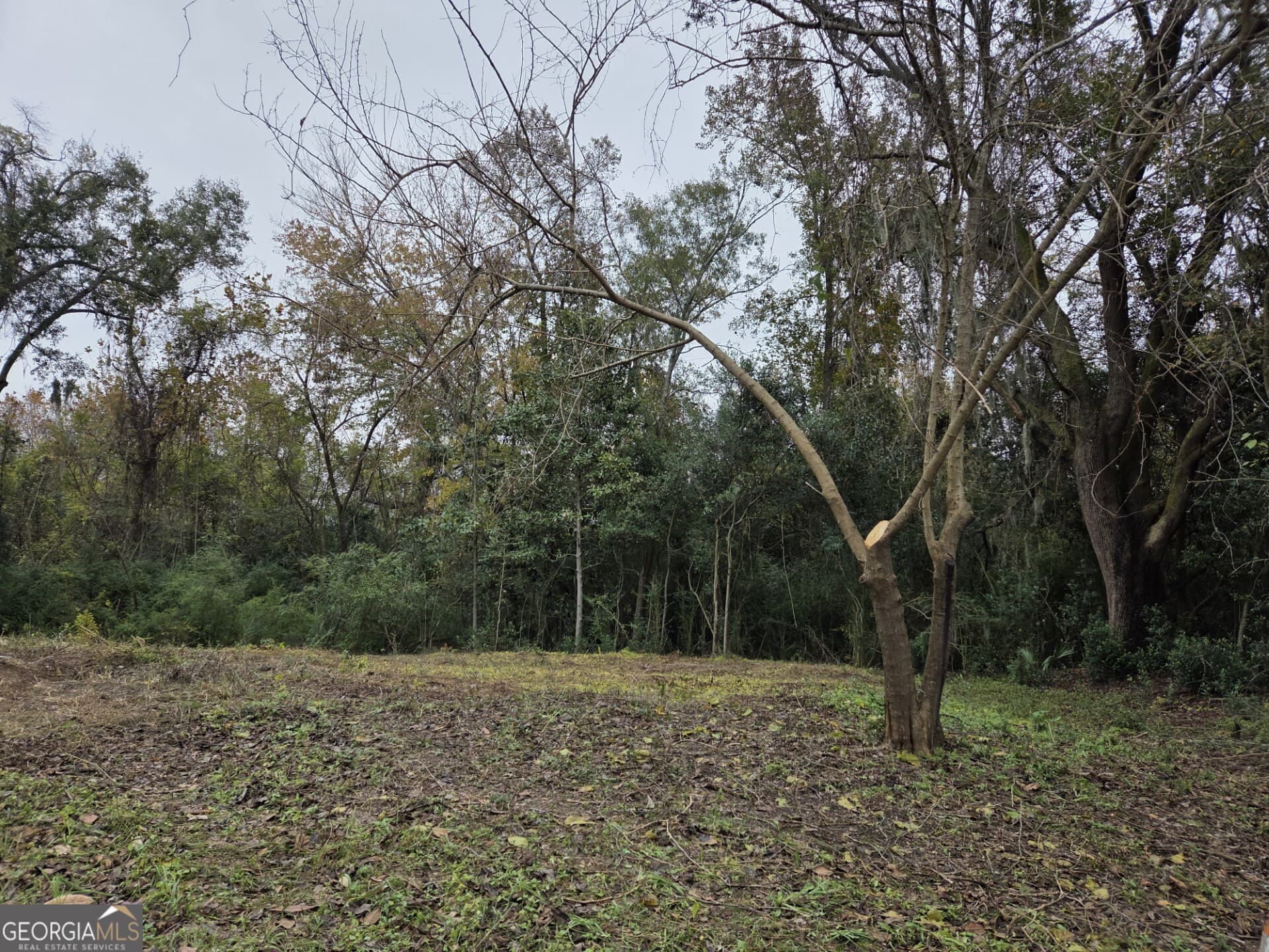 residential lot for sale at 0 Mosley Street, Savannah, GA 31404 — photo 6