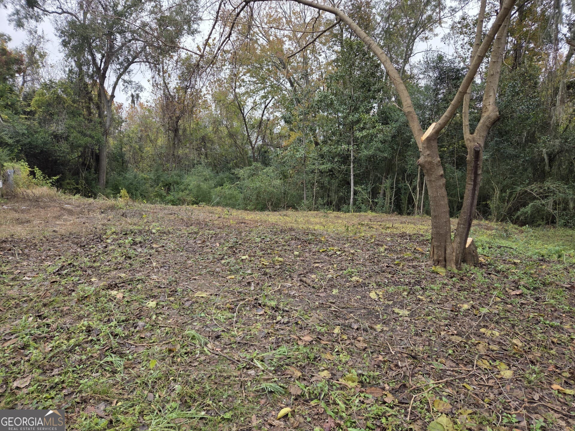 residential lot for sale at 0 Mosley Street, Savannah, GA 31404 — photo 7