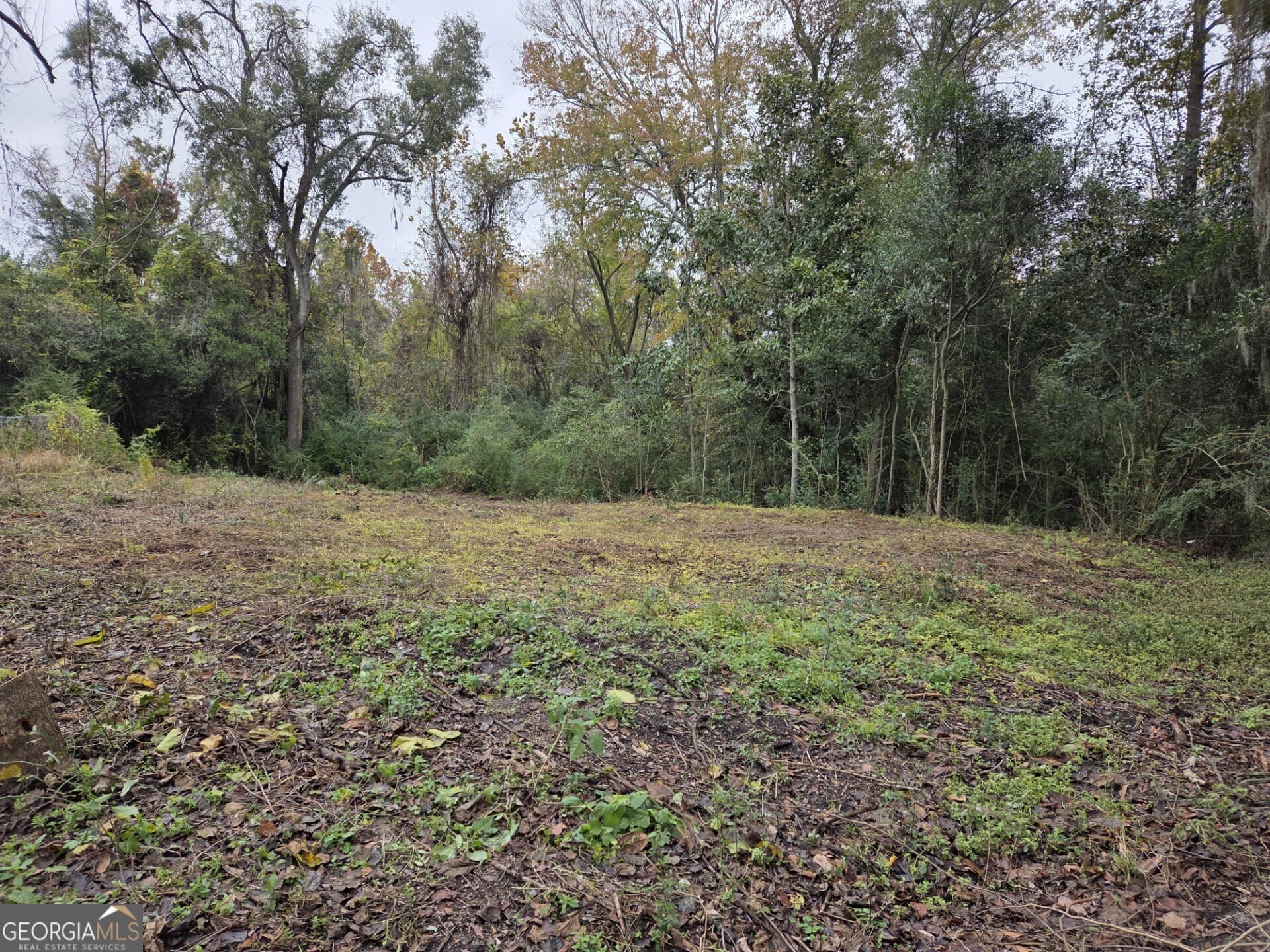 residential lot for sale at 0 Mosley Street, Savannah, GA 31404 — photo 3