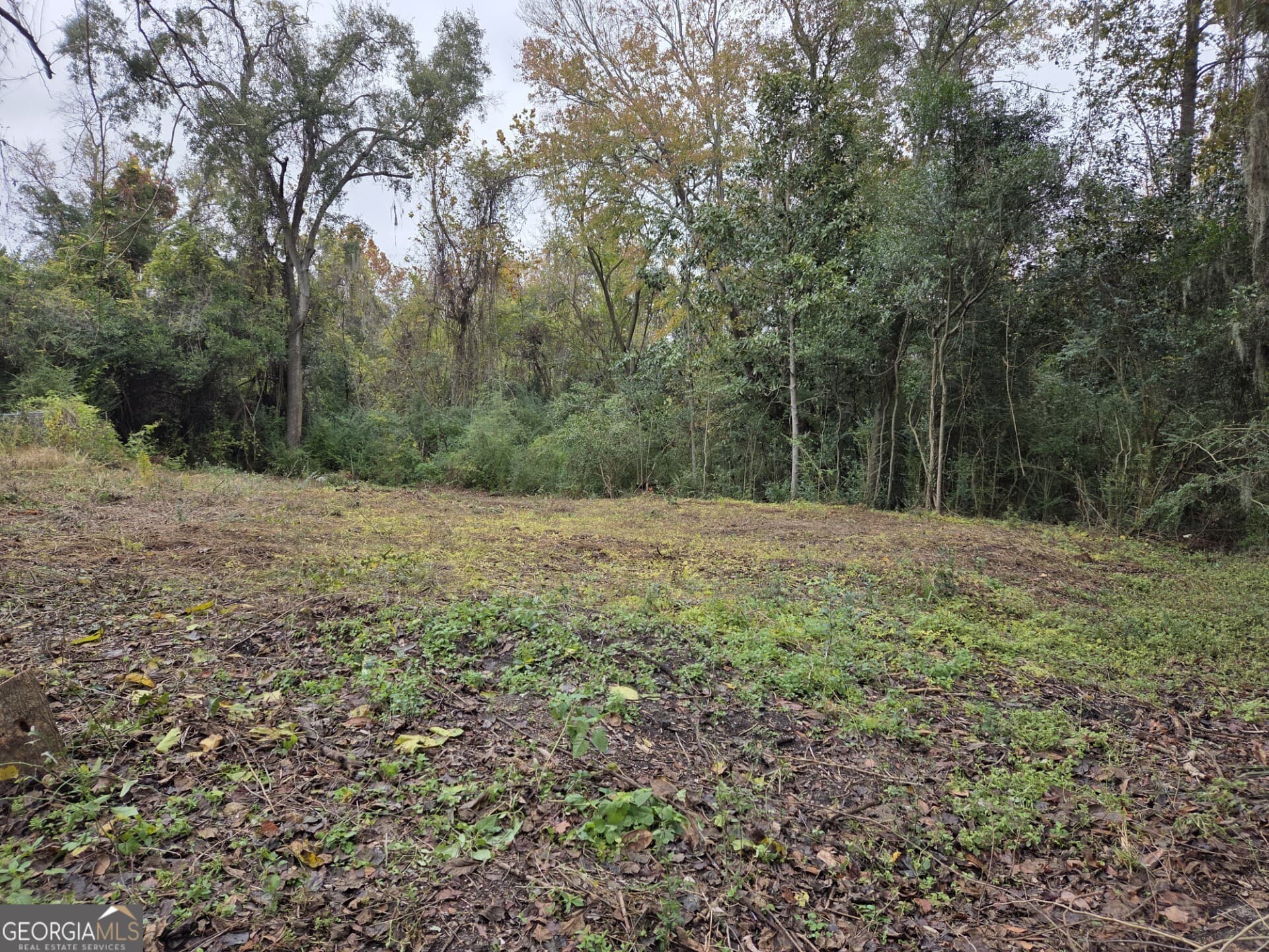 residential lot for sale at 0 Mosley Street, Savannah, GA 31404 — photo 1 of 16