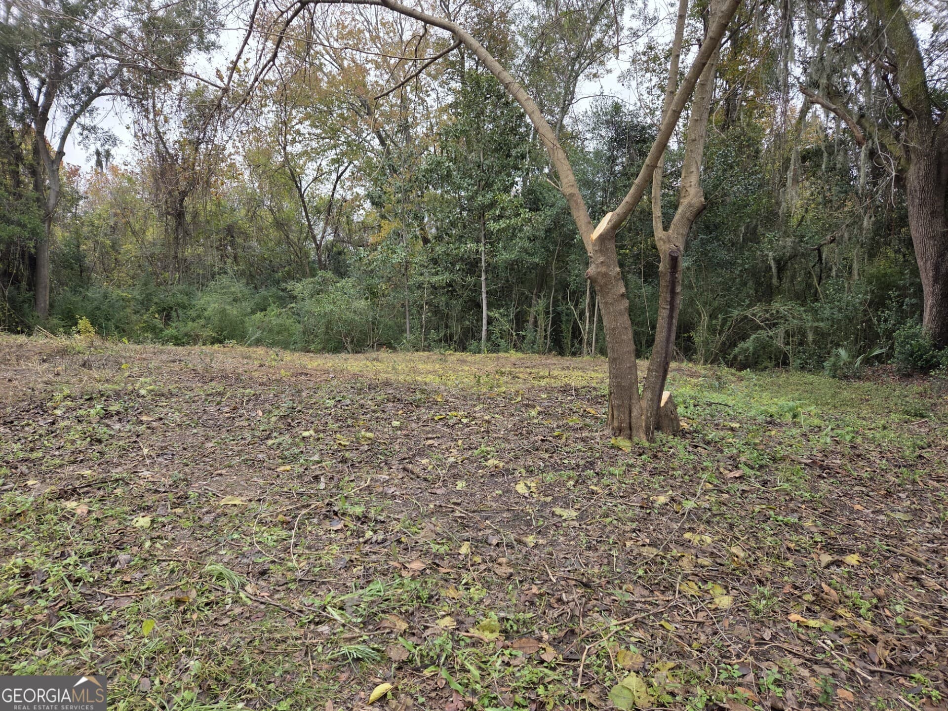 residential lot for sale at 0 Mosley Street, Savannah, GA 31404 — photo 5