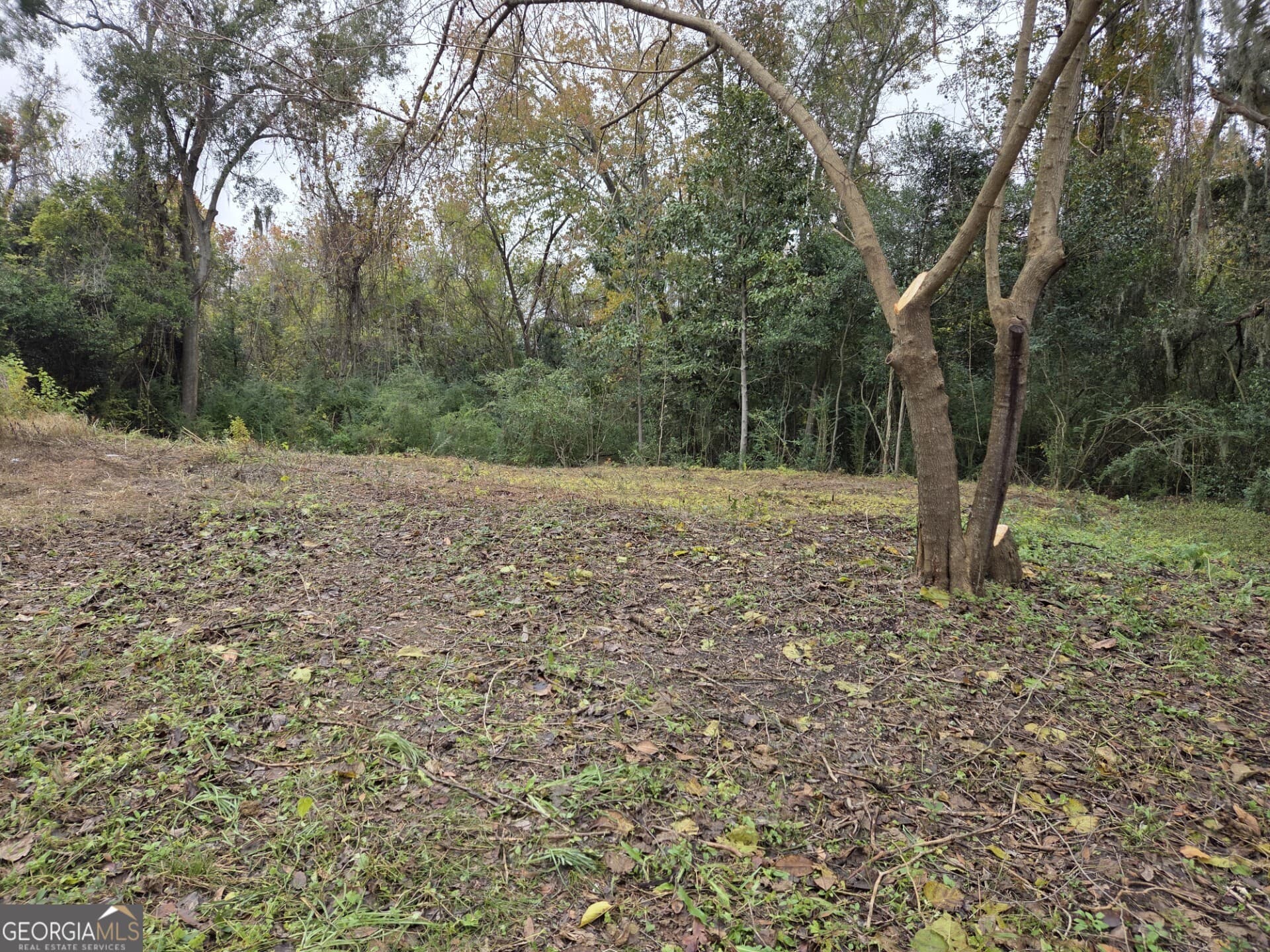 residential lot for sale at 0 Mosley Street, Savannah, GA 31404 — photo 4