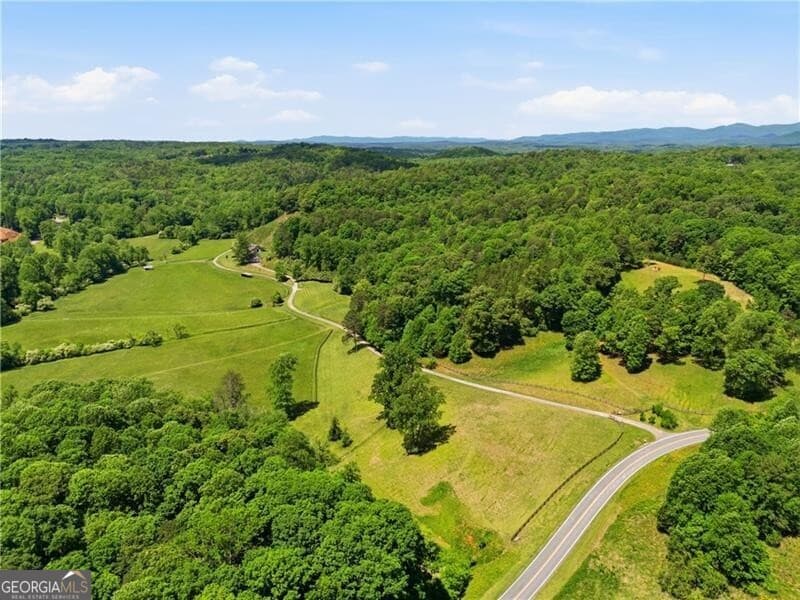 7 bedroom, 6.5 bathroom, 9,539 sq ft single family residence for sale at 619 Hamp Mill Road, Dahlonega, GA 30533 — photo 2