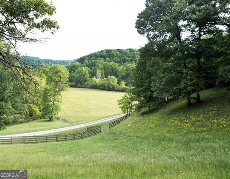 7 bedroom, 6.5 bathroom, 9,539 sq ft single family residence for sale at 619 Hamp Mill Road, Dahlonega, GA 30533 — photo 3