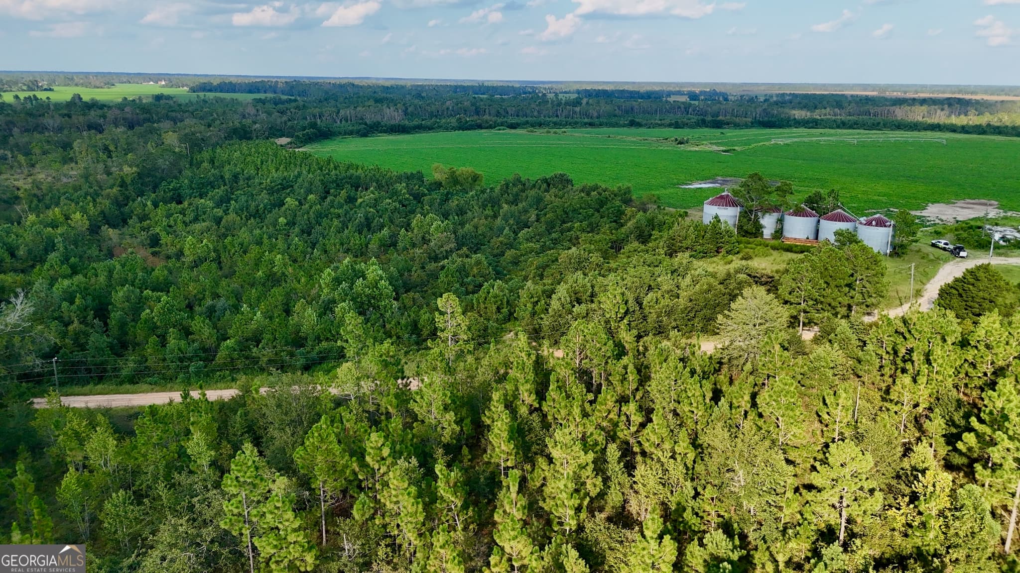 agriculture for sale at TRACT 3 Rhonda Coleman Road, Hazlehurst, GA 31539 — photo 2
