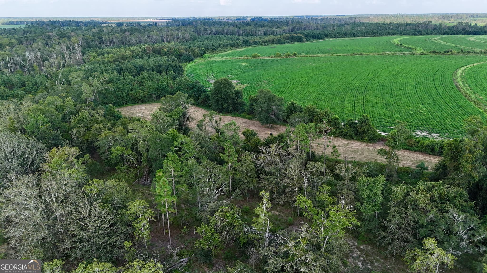 agriculture for sale at TRACT 3 Rhonda Coleman Road, Hazlehurst, GA 31539 — photo 7