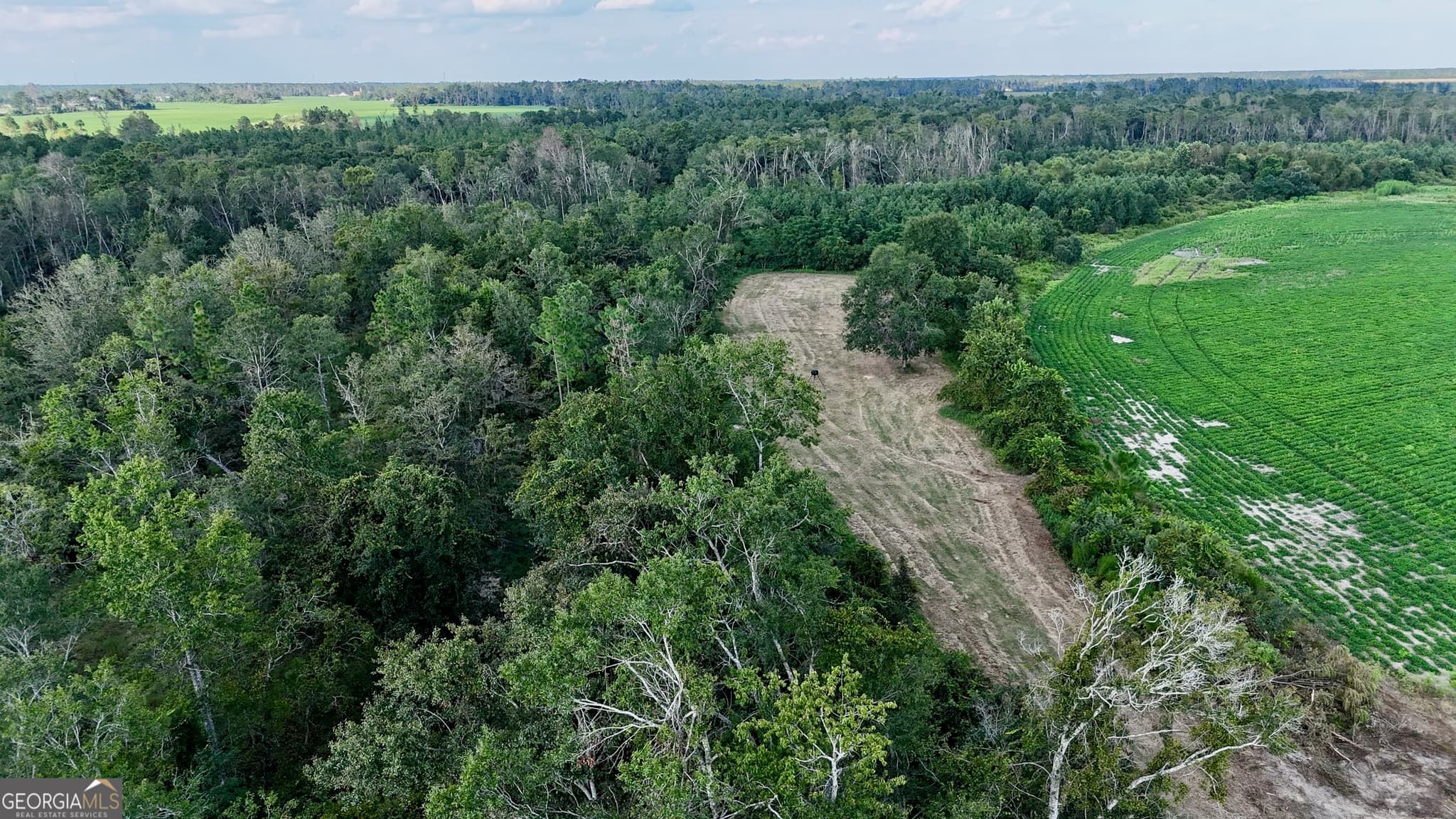 agriculture for sale at TRACT 3 Rhonda Coleman Road, Hazlehurst, GA 31539 — photo 9