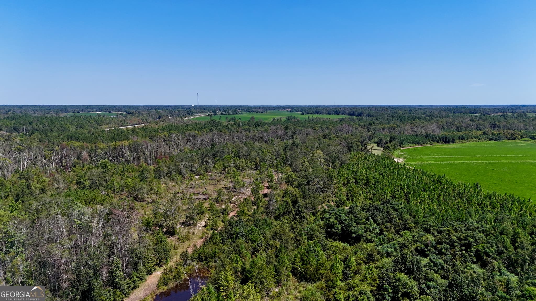 agriculture for sale at TRACT 3 Rhonda Coleman Road, Hazlehurst, GA 31539 — photo 10