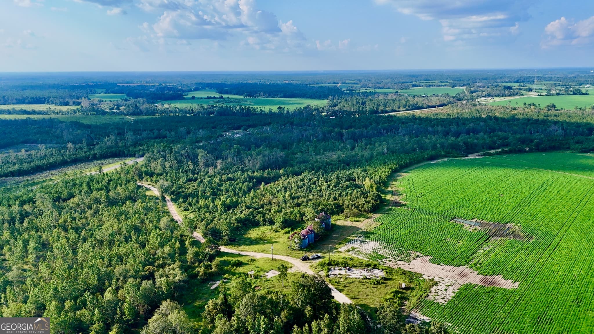 agriculture for sale at TRACT 3 Rhonda Coleman Road, Hazlehurst, GA 31539 — photo 8