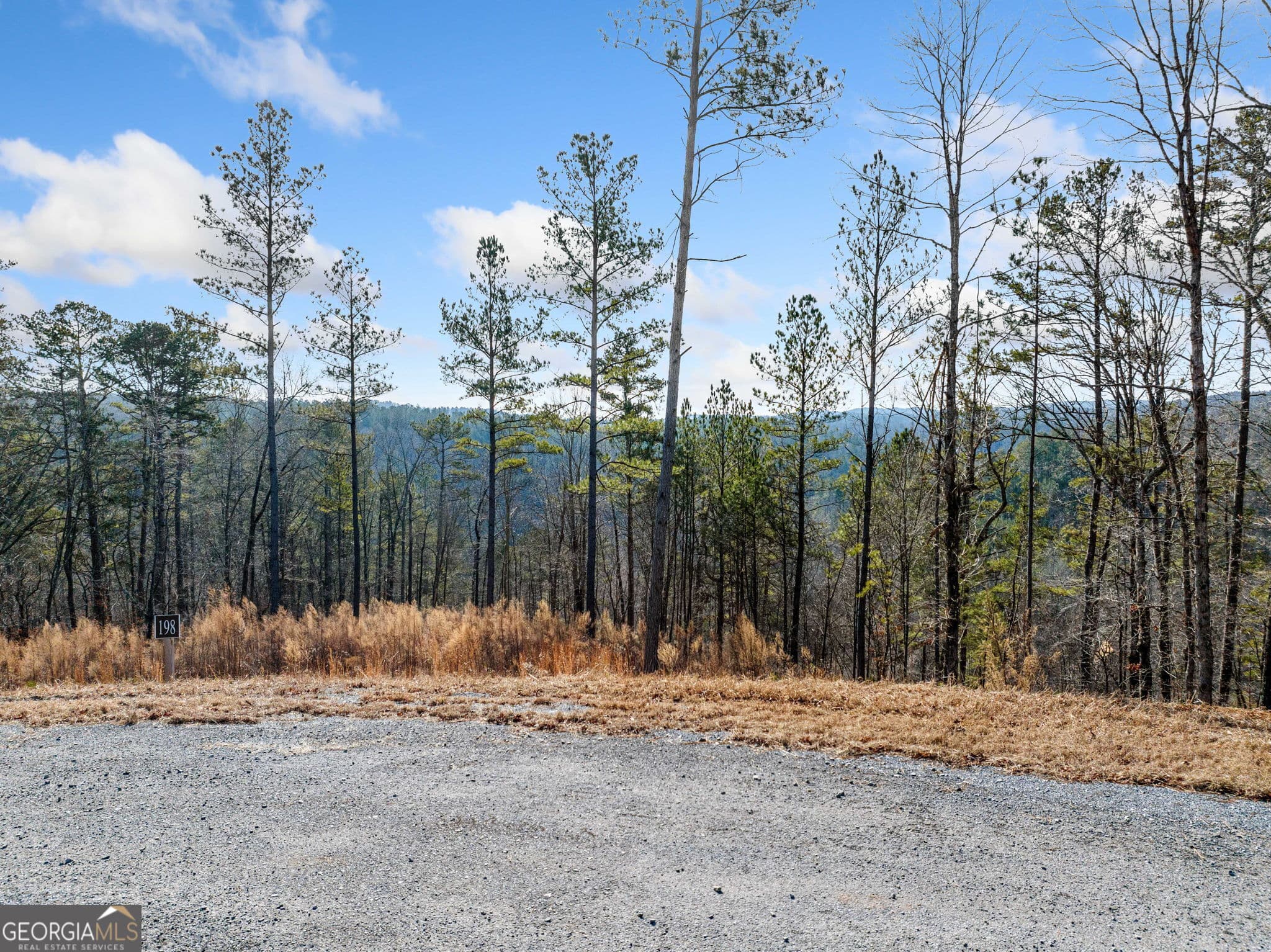 residential lot for sale at 198 Blalock Mountain Crt, Ellijay, GA 30540 — photo 3