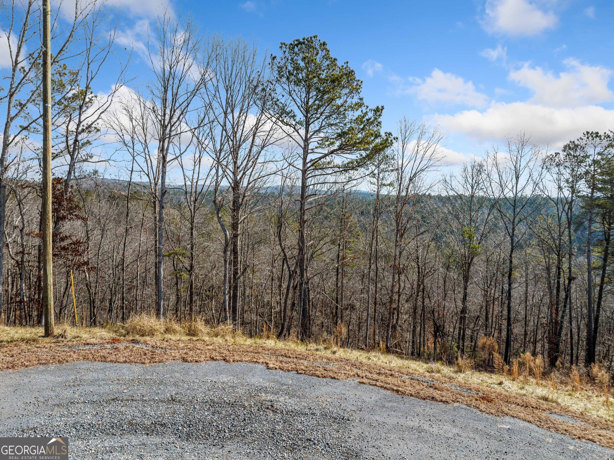 residential lot for sale at 198 Blalock Mountain Crt, Ellijay, GA 30540 — photo 10