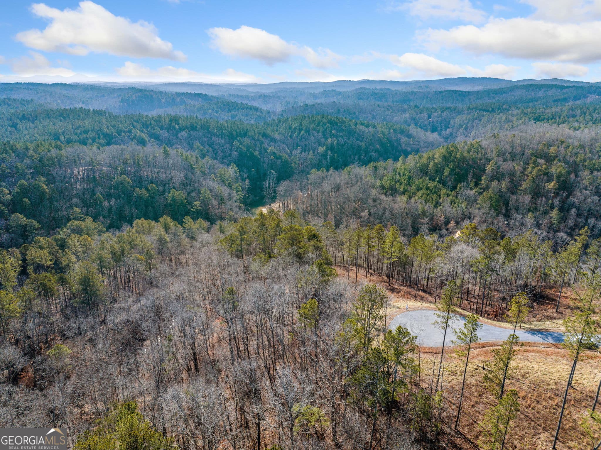 residential lot for sale at 198 Blalock Mountain Crt, Ellijay, GA 30540 — photo 4