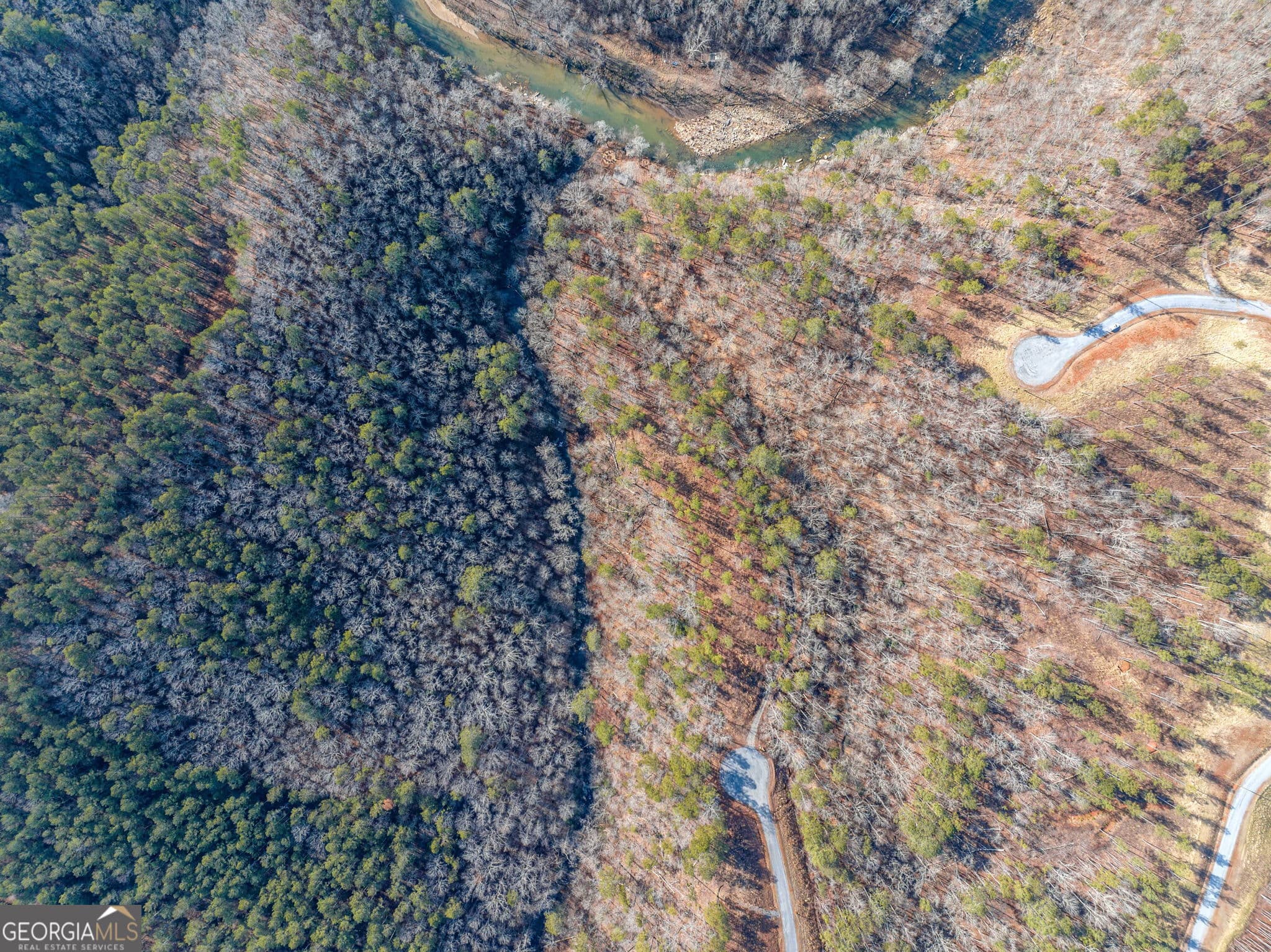 residential lot for sale at 198 Blalock Mountain Crt, Ellijay, GA 30540 — photo 8