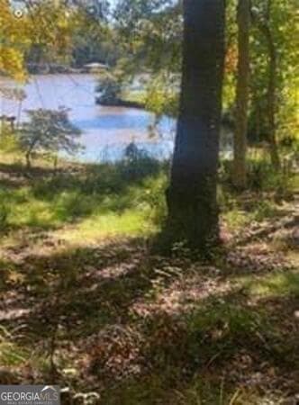 residential lot for sale at LOT 48A Franklin Road, Eatonton, GA 31024 — photo 3