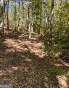 residential lot for sale at LOT 48A Franklin Road, Eatonton, GA 31024 — photo 4
