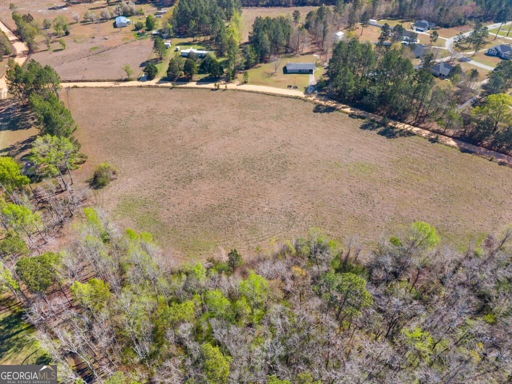 unimproved land for sale at 0 Lester Fordham Road, Statesboro, GA 30461 — photo 3