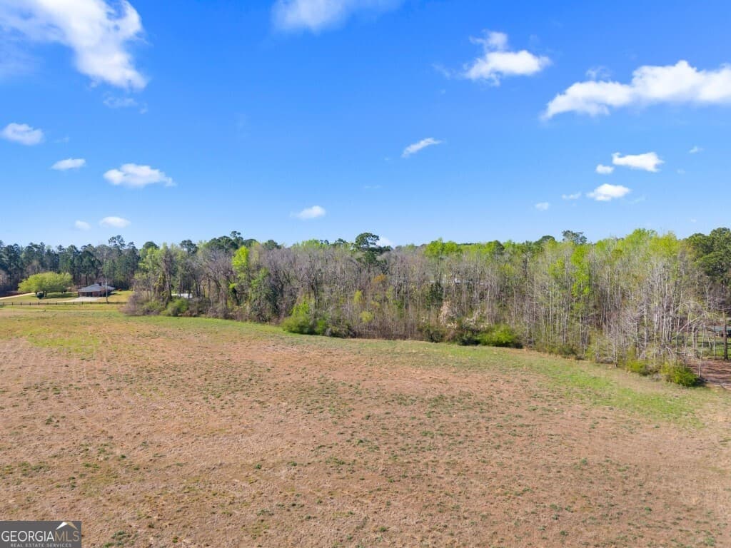 unimproved land for sale at 0 Lester Fordham Road, Statesboro, GA 30461 — photo 5