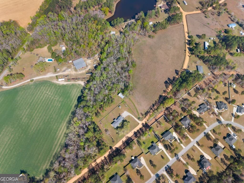 unimproved land for sale at 0 Lester Fordham Road, Statesboro, GA 30461 — photo 9