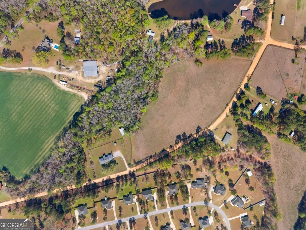 unimproved land for sale at 0 Lester Fordham Road, Statesboro, GA 30461 — photo 10