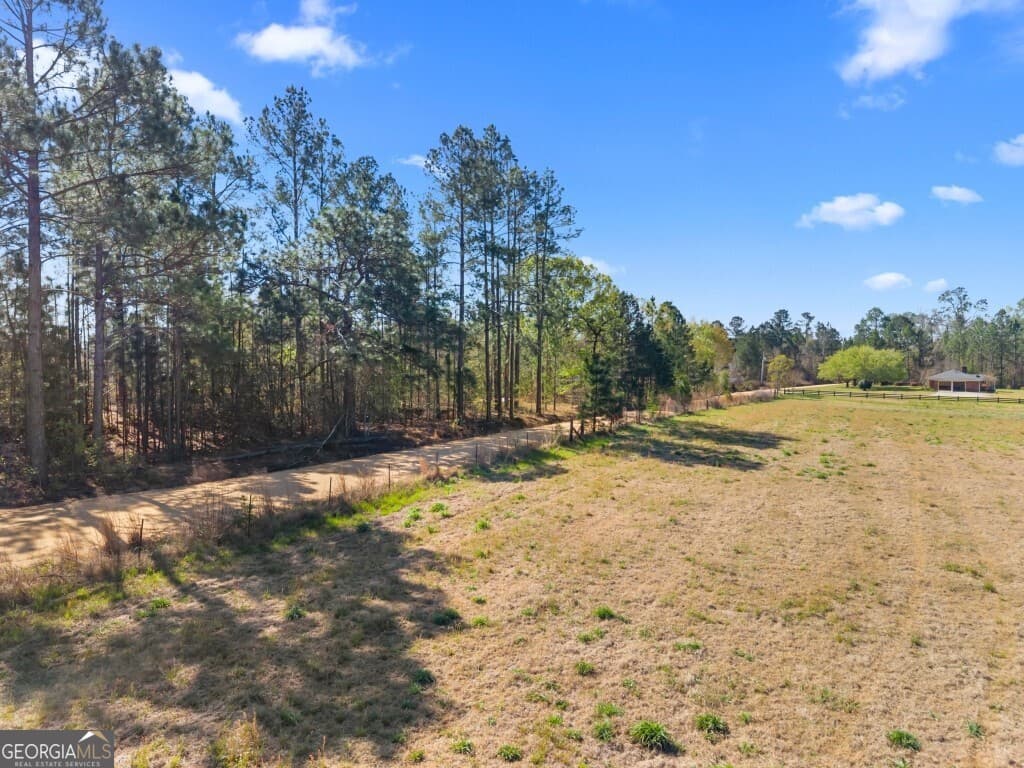 unimproved land for sale at 0 Lester Fordham Road, Statesboro, GA 30461 — photo 4