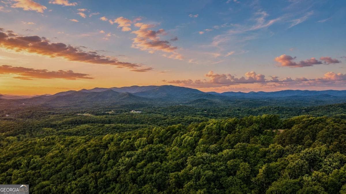 4 bedroom, 4 bathroom, 3,111 sq ft single family residence for sale at 1361 Talona Mountain Road, Ellijay, GA 30536 — photo 7