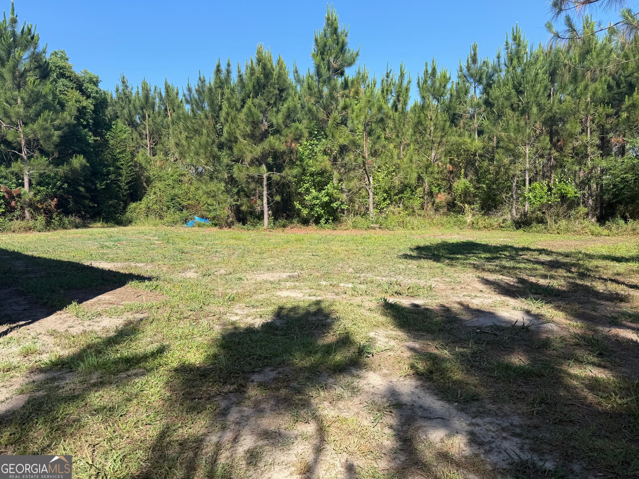 residential lot for sale at 0 N Third North Street, Soperton, GA 30457 — photo 6