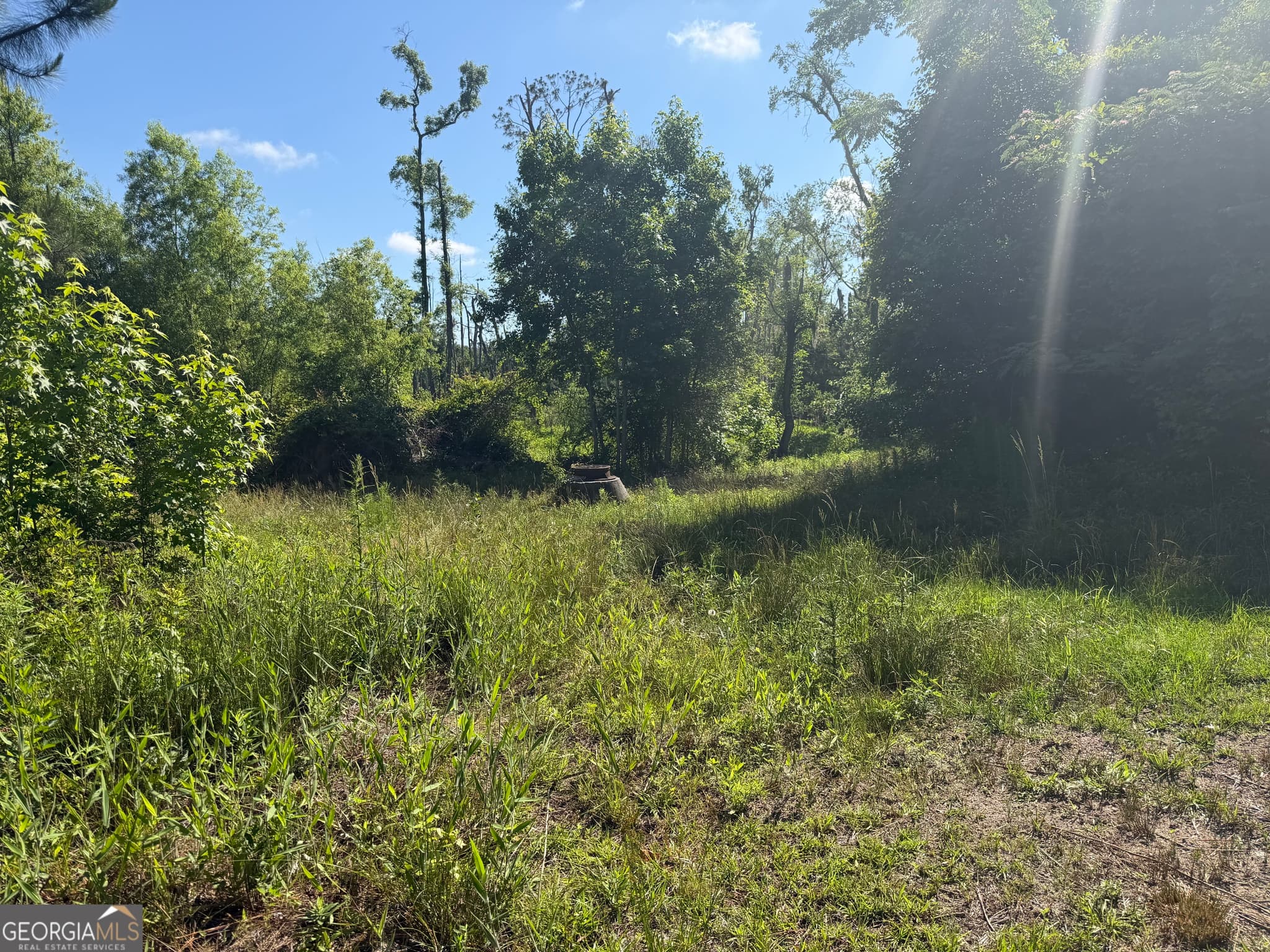 residential lot for sale at 0 N Third North Street, Soperton, GA 30457 — photo 3