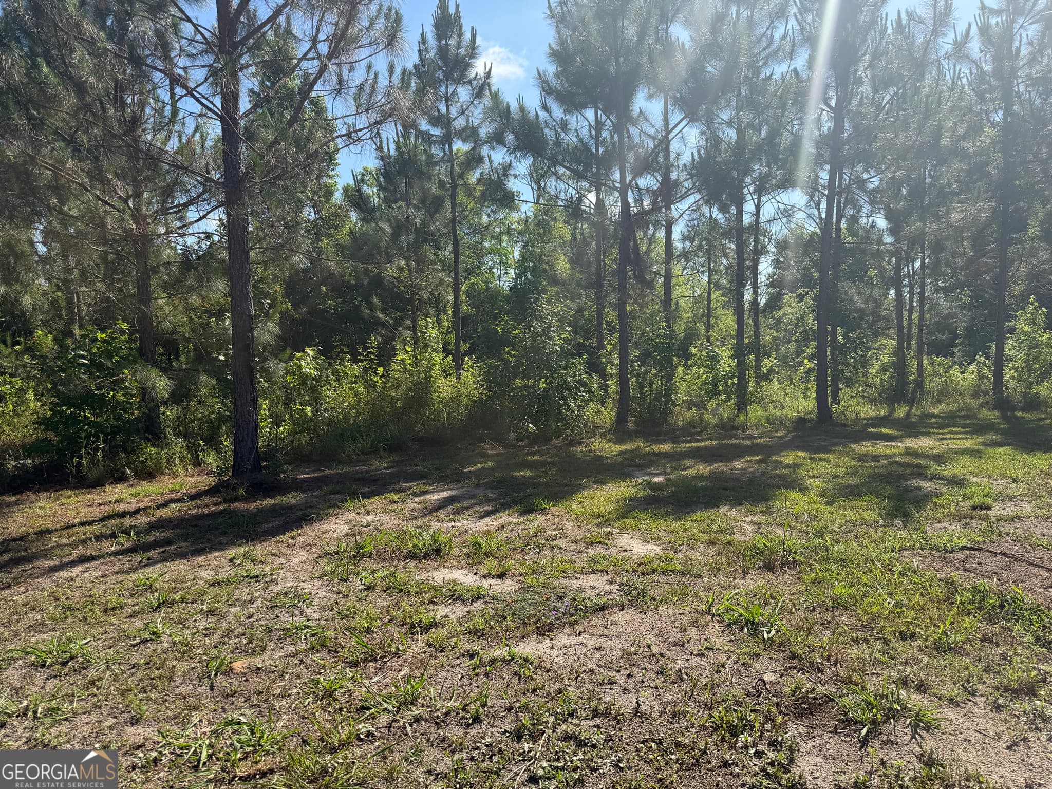residential lot for sale at 0 N Third North Street, Soperton, GA 30457 — photo 4