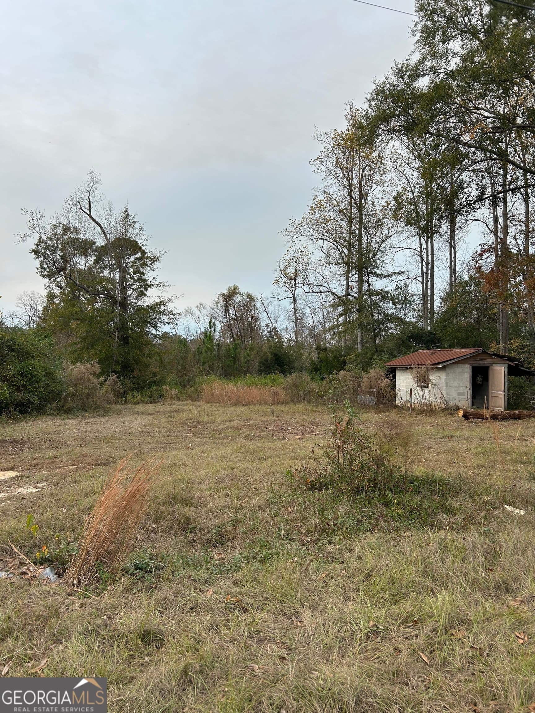 residential lot for sale at 0 Center Avenue, Mcrae, GA 31055 — photo 2