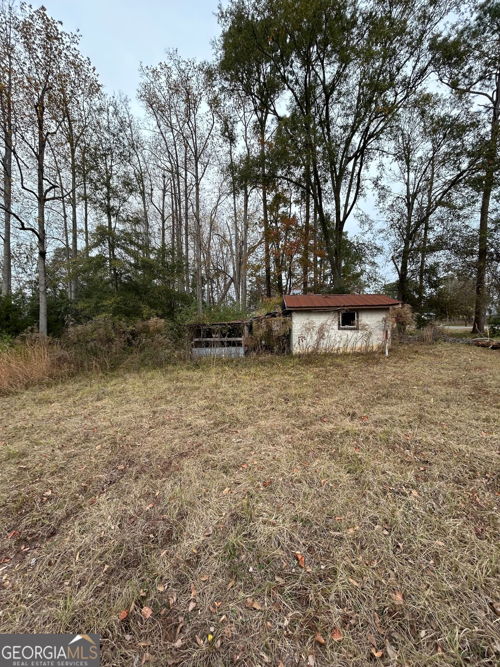 residential lot for sale at 0 Center Avenue, Mcrae, GA 31055 — photo 6