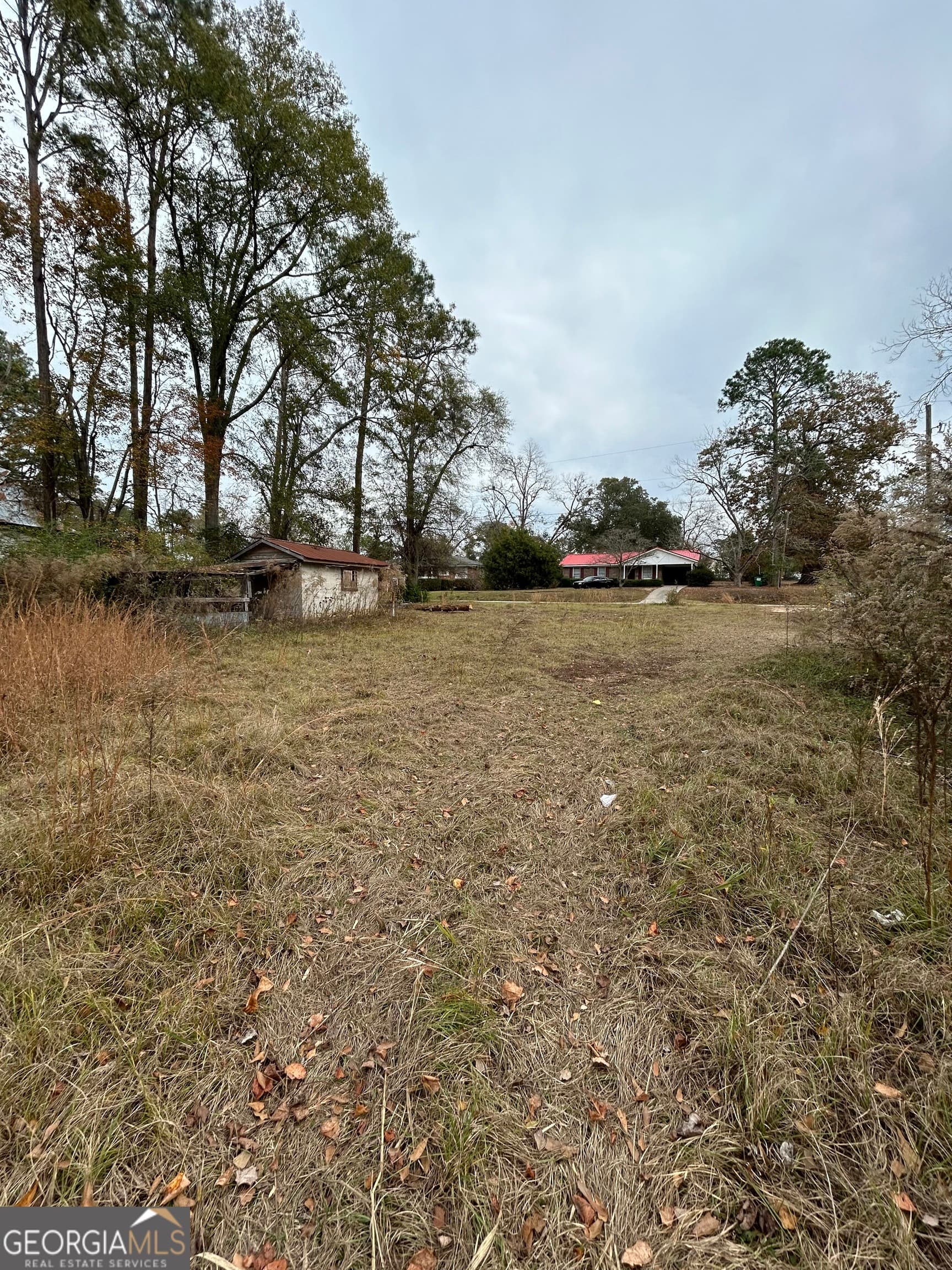 residential lot for sale at 0 Center Avenue, Mcrae, GA 31055 — photo 7
