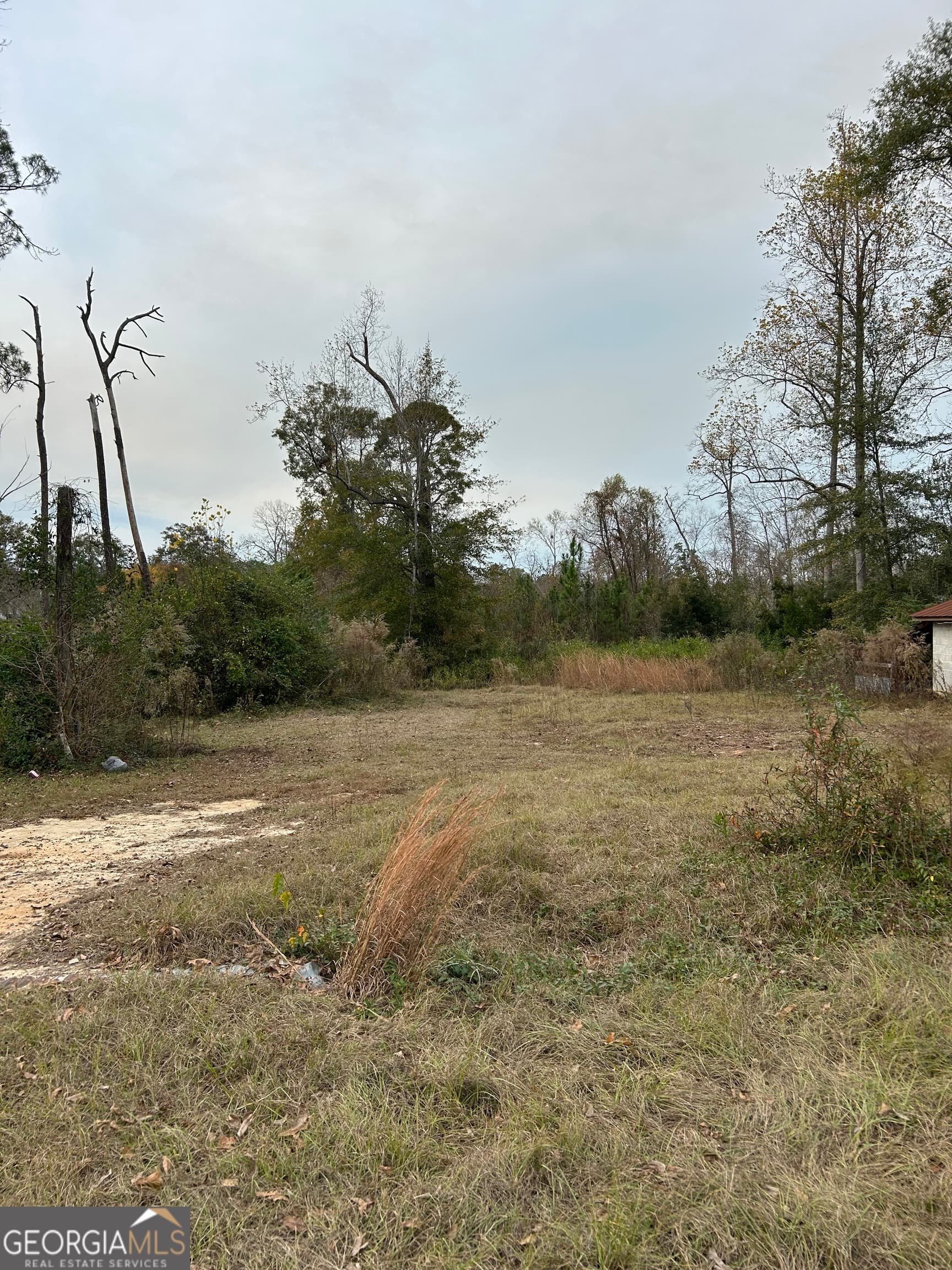 residential lot for sale at 0 Center Avenue, Mcrae, GA 31055 — photo 3