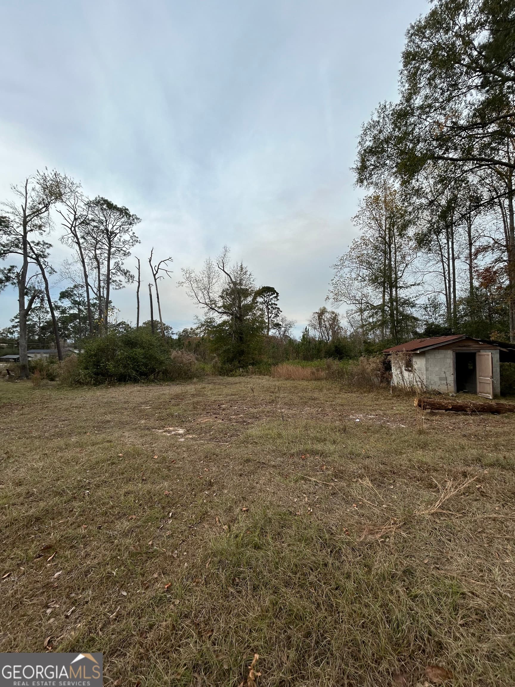 residential lot for sale at 0 Center Avenue, Mcrae, GA 31055