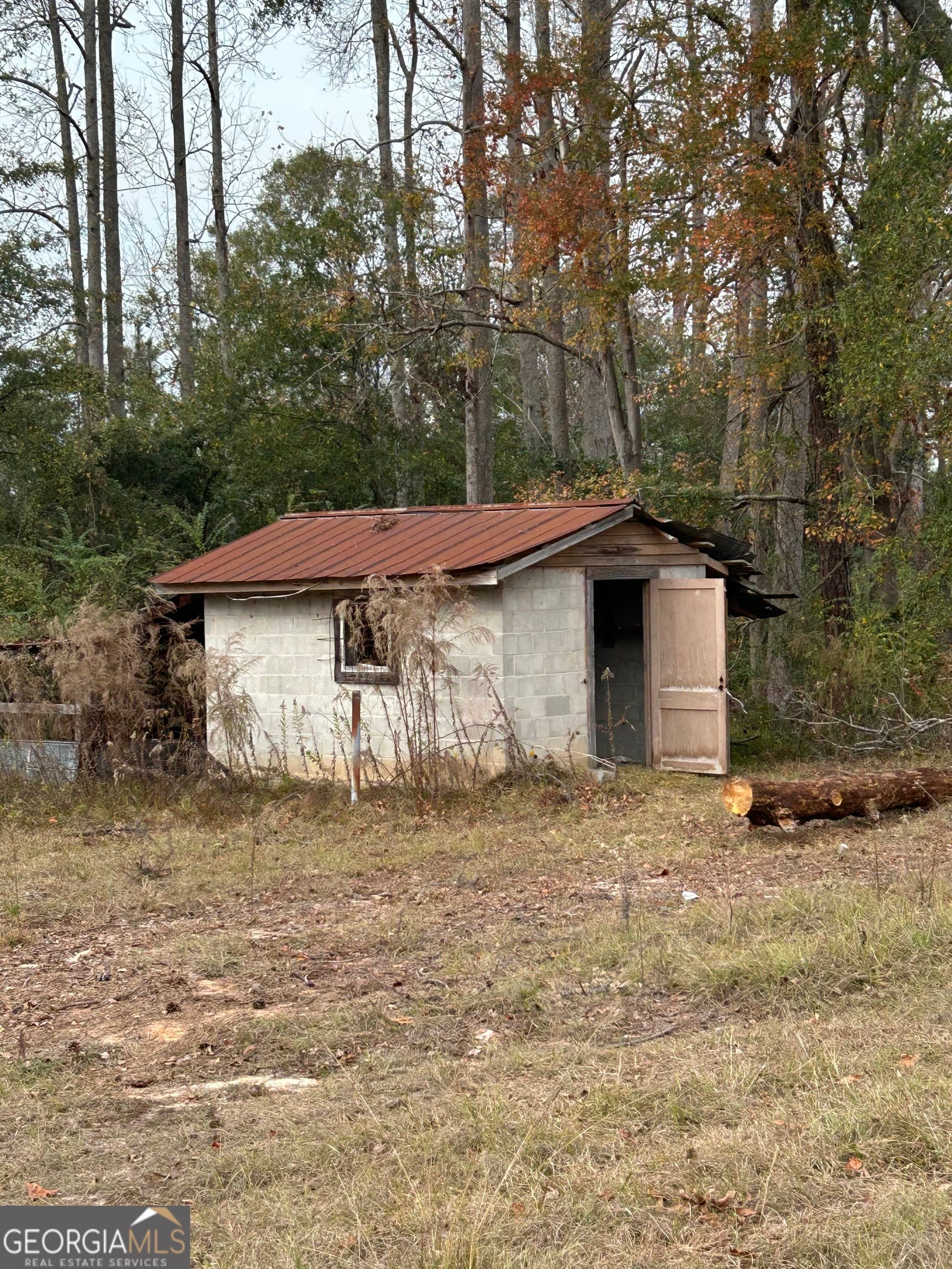residential lot for sale at 0 Center Avenue, Mcrae, GA 31055 — photo 5