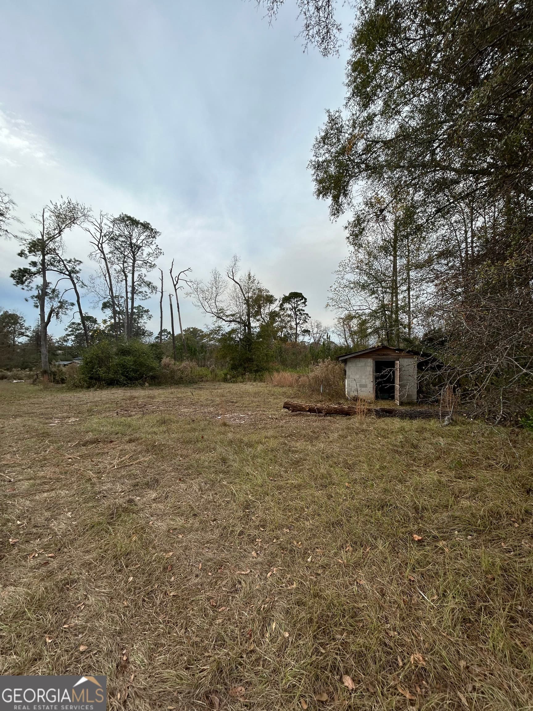 residential lot for sale at 0 Center Avenue, Mcrae, GA 31055 — photo 4