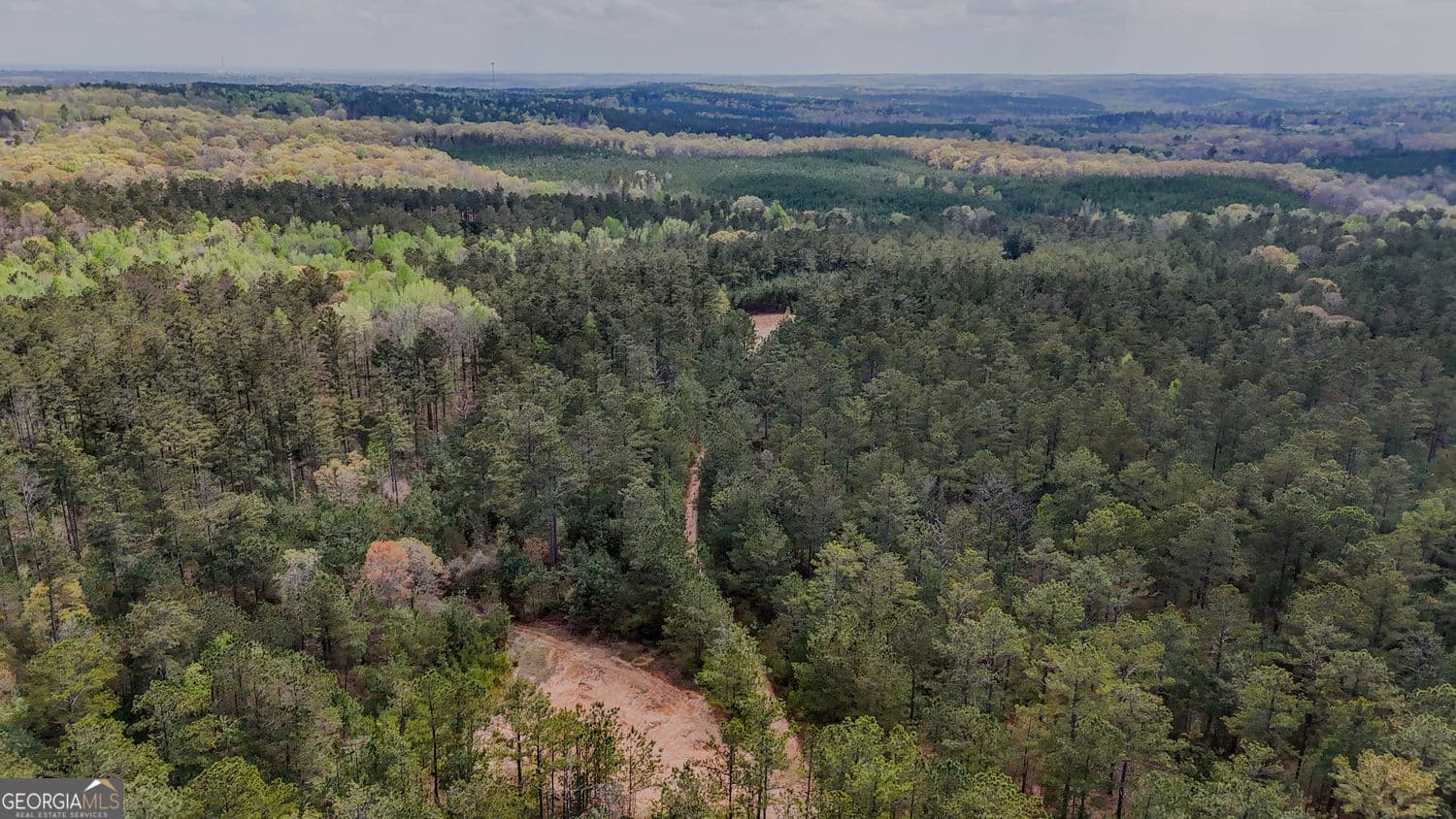 agriculture for sale at 0 Hwy 166 Road, Carrollton, GA 30116 — photo 2