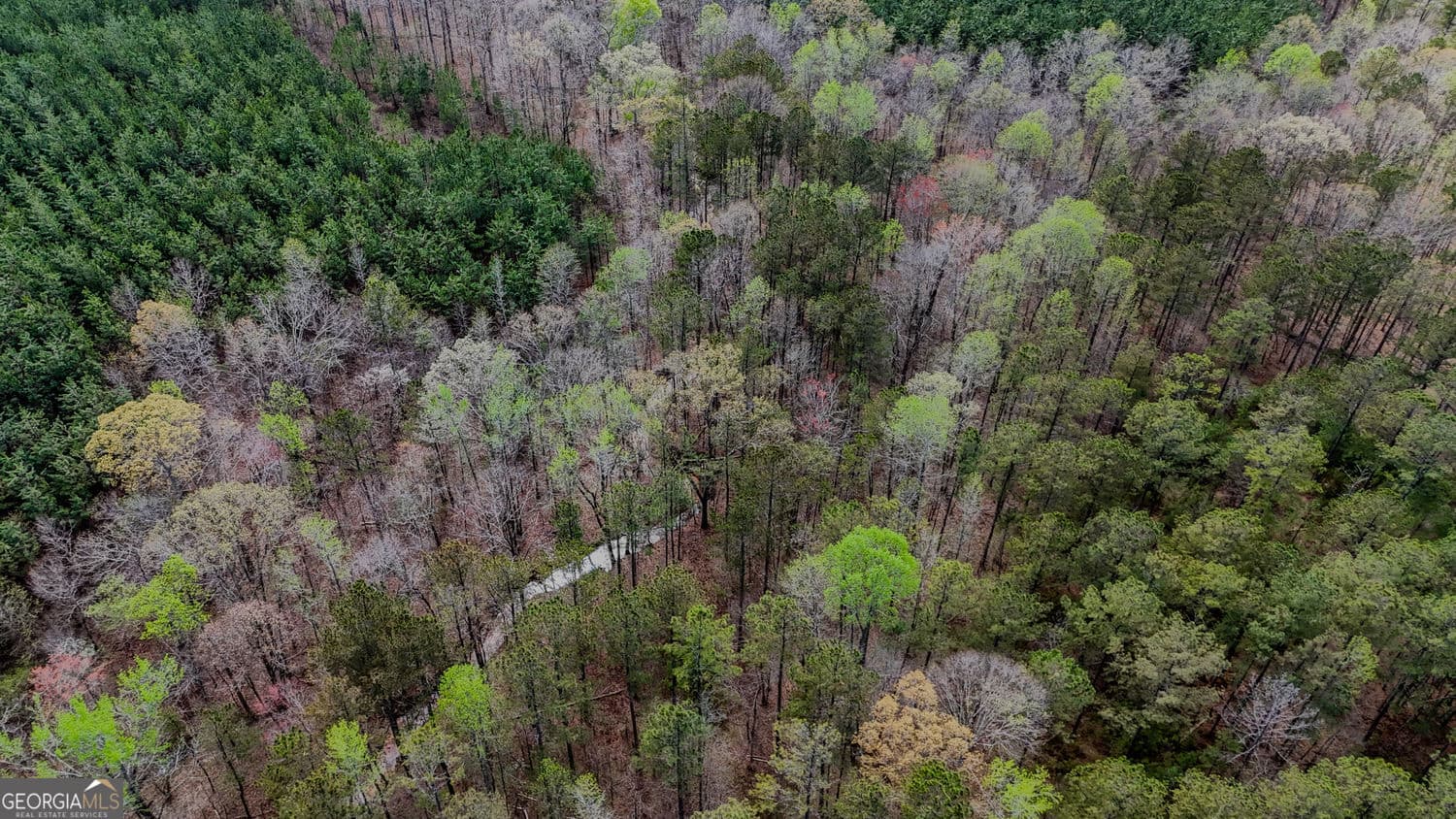 agriculture for sale at 0 Hwy 166 Road, Carrollton, GA 30116 — photo 7