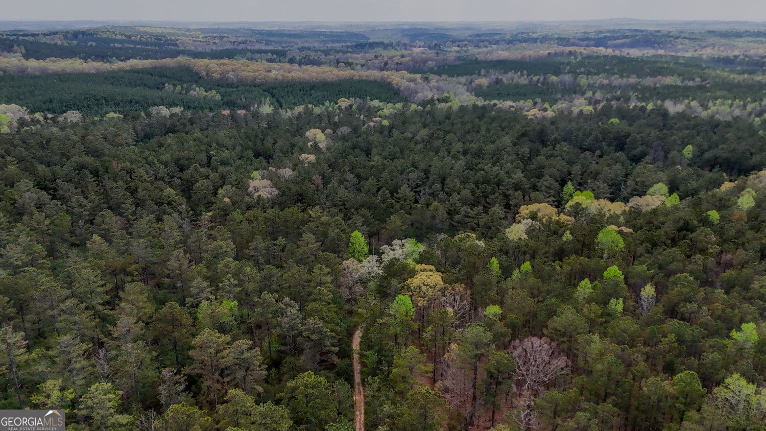 agriculture for sale at 0 Hwy 166 Road, Carrollton, GA 30116 — photo 3