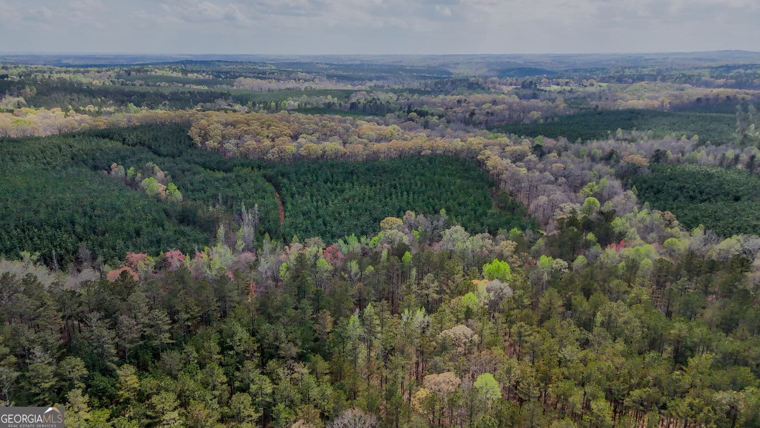 agriculture for sale at 0 Hwy 166 Road, Carrollton, GA 30116 — photo 5