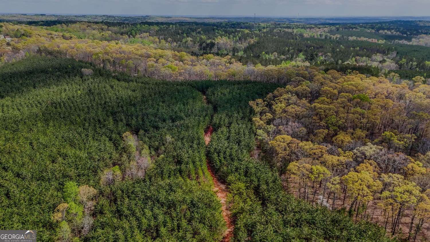 agriculture for sale at 0 Hwy 166 Road, Carrollton, GA 30116 — photo 9