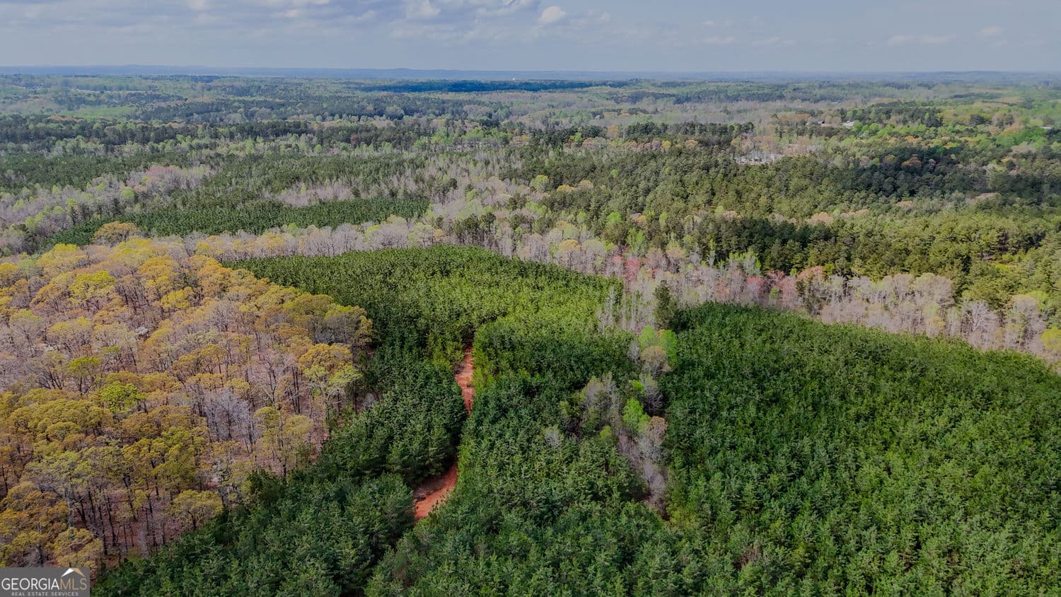 agriculture for sale at 0 Hwy 166 Road, Carrollton, GA 30116 — photo 10